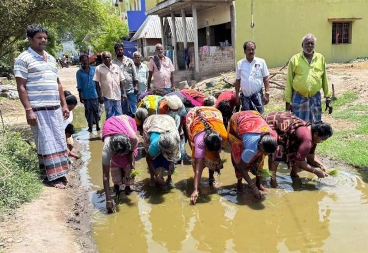 சிமெண்ட் சாலையை சீரமைக்க கோரி கிராம மக்கள் நாற்று நடும் போராட்டம்