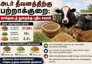  மூன்றில் ஒரு கால்நடைக்கு அடர்தீவனம் கிடைக்கவில்லை 37 சதவிகிதம் பற்றாக்குறையால் புதிய சவால்