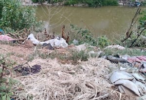  பூண்டி - புழல் ஏரி கால்வாய் ஓரங்களில் இறைச்சி கழிவுகள் கொட்டி அட்டூழியம் குடிநீர் மாசடையும் அவலம்
