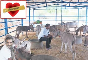 குரல் சொல்லும் குறள்; கழுதை காதல் காசு தரும்!