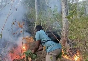  கொழுக்குமலையில் பற்றிய காட்டுத்தீ அணைப்பு