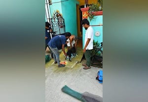  4,296 நாய்களுக்கு தடுப்பூசி