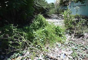  கோலியனுாரான் வாய்க்காலில் பிளாஸ்டிக் கழிவு குவியல்கள்