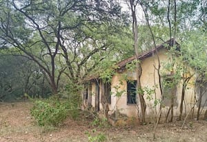  சமூக விரோதிகளின் கூடாரமான பாழடைந்த வனத்துறை கட்டடம்