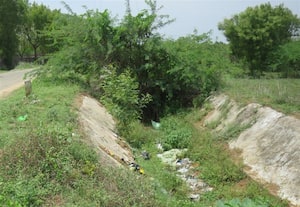  செடிகளால் துார்ந்த வடிகால் சீரமைக்க மக்கள் வலியுறுத்தல்