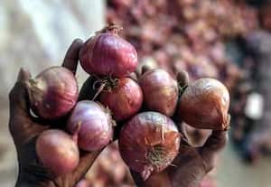 விலை உயர்வு எதிரொலி: கையிருப்பில் உள்ள வெங்காயத்தை விற்பனைக்குக் கொண்டுவர அரசு முடிவு