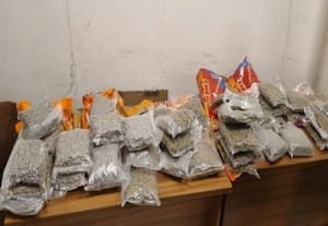 ரூ.14.50 கோடி தாய்லாந்து கஞ்சா கடத்திய பெண்;  சென்னையில் கைது
