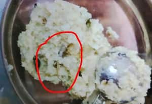 அரசு பள்ளியில் பல்லி கிடந்த உணவு விநியோகம்; மயக்கமடைந்த 19 மாணவ - மாணவியர் 'அட்மிட்' ; பதறி ஓடிய பெற்றோர்; திணறிப்போன ஆசிரியர்கள்