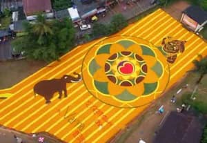 கேரளாவில் களைகட்டியது ஓணம் பண்டிகை;  அத்தப்பூ கோலமிட்டு கொண்டாட்டம்