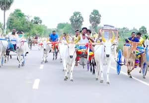  கொல்லங்குடியில் மாட்டுவண்டி பந்தயம்   38 ஜோடி மாடுகள் பங்கேற்பு  