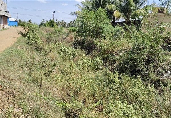 ஓடை, கால்வாய்களை துார்வார நடவடிக்கை ﻿ தேவை: மாவட்ட நிர்வாகத்திற்கு மக்கள் கோரிக்கை
