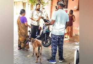  முன்னாள் கவுன்சிலர் வீட்டில் நகை, பணம் கொள்ளை