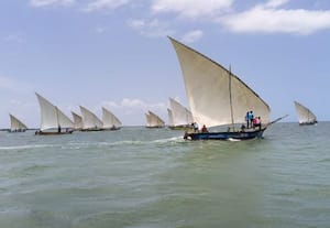  திருப்பாலைக்குடியில் பாய்மரப் படகு போட்டி