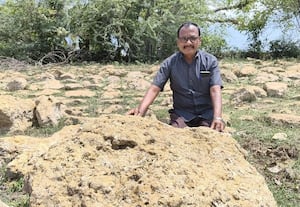  விழுப்புரம் அருகே 7 கோடி ஆண்டுகளுக்கு முற்பட்ட தொல்லுயிர் படிமங்கள்; பாதுகாக்க அரசுக்கு கோரிக்கை