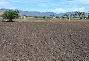  படம் மட்டும்/ மழை தருமோ வானம்