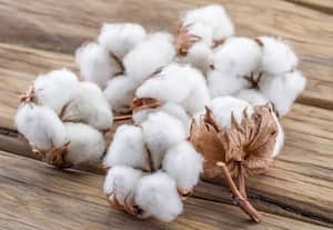  பஞ்சு, நுால் விலை உயர்வை கட்டுப்படுத்த வலியுறுத்தல்