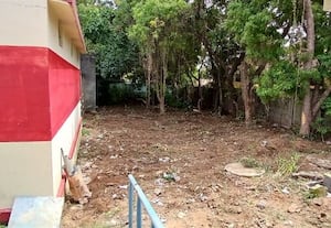  ரேஷன் கடை அருகே புதர் சுத்தமானது தினமலர் செய்தி எதிரொலி