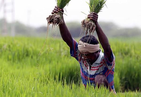  இயற்கை விவசாயிகளுக்கு கை கொடுக்கும் மத்திய அரசு: கண்டுகொள்ளாத தமிழக அரசு
