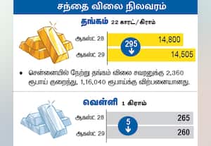 சந்தை விலை நிலவரம்