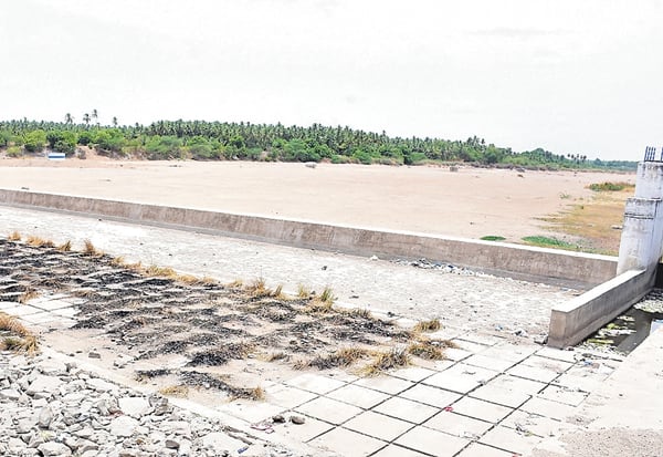 அமராவதி ஆற்றில் தண்ணீர் திறக்காததால் வறண்டு கிடக்கும் பெ.ஆ.கோ., தடுப்பணை