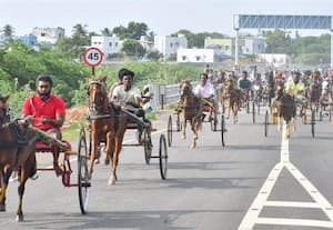  கிருஷ்ண ஜெயந்தி விழாவிற்காக மாடு, குதிரை வண்டி பந்தயம்