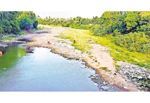  டெல்டாவில் துார்வாரப்படாத ஆறு, வாய்க்கால்கள்: கடைமடையை தொடுமா காவிரி; விவசாயிகள் கவலை