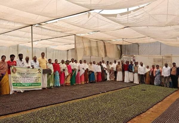  வீடுகளில் இயற்கை முறையில் காய்கறி பழங்கள் உற்பத்தி: உடல் நலத்தை பாதுகாத்துக் கொள்ள அறிவுரை