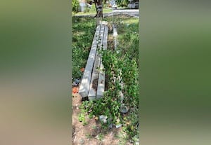  ரோட்டோரத்தில் கேட்பாரற்று வீணாகும் மின்கம்பங்கள்