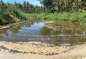 மலக்கழிவு சுத்திகரிப்பு நிலையம் அமைக்கவிவசாயிகள் எதிர்ப்பு: வனவிலங்குகளுக்கும் ஆபத்து என புகார்