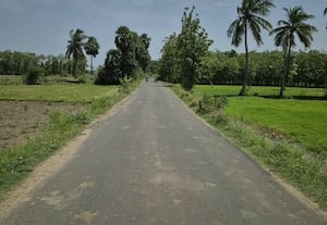  ஸ்ரீமுஷ்ணம் - குணமங்கலம் சாலை அகலப்படுத்த கோரிக்கை