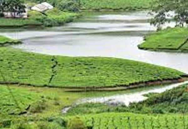 மேகமலை ஆக்கிரமிப்பு: சர்வே பணிகள் நிறுத்தம்