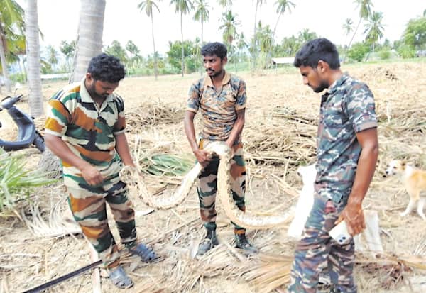 Latest Tamil News