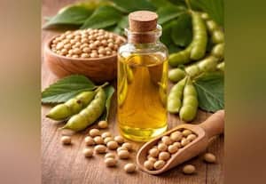  சோயா எண்ணெய் அதிக இறக்குமதி