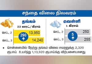 சந்தை விலை நிலவரம்