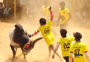  வடமாடு மஞ்சுவிரட்டு