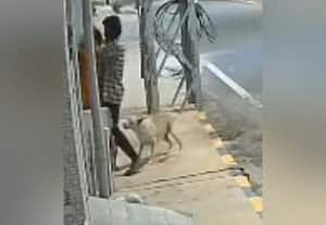  பாலியல் தொல்லை கொடுத்த சிறுவனை கடித்து குதறிய நாய்