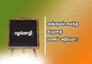  பழமொழி