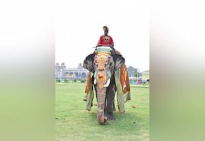  தசரா யானை அபிமன்யுவுக்கு புதிய கவுரவம் ஜம்பு சவாரி ஊர்வலத்தை நடத்துகிறது