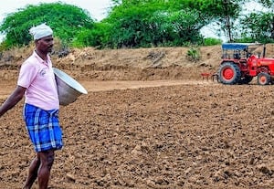  நேரடி நெல் துாவும் பணியில் விவசாயிகள்