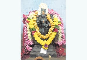 மேகபாலீஸ்வரர் கோவிலில் தேய்பிறை அஷ்டமி பூஜை
