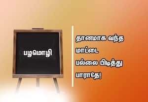  பழமொழி