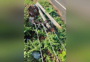  மானாமதுரை, இளையான்குடியில் உடைந்து விழும் மின்கம்பங்கள்