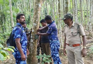  இரு வாரங்களாக போக்கு காட்டும் ஆட்கொல்லி புலி தேடும் பணியில் வனத்துறை தீவிரம்