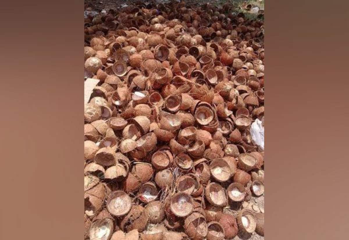 नारियल के छिलकों की बढ़ती कीमतों से निर्यातकों का संकट, सरकार से मांगी मदद