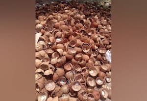  தேங்காய் சிரட்டை விலை தொடர் உயர்வு அரசு உதவி கேட்கும் ஏற்றுமதியாளர்கள்: கார்பன் பொருள் ஏற்றுமதி சந்தை ரூ.4,700 கோடி
