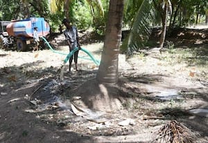  விலை கொடுத்து நீரை வாங்கி தென்னையை காக்கும் அவலம்