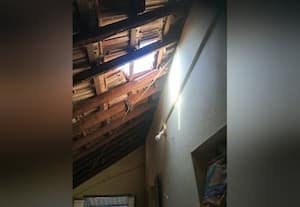  வீட்டின் ஓட்டை பிரித்து குரங்குகள் அட்டகாசம்