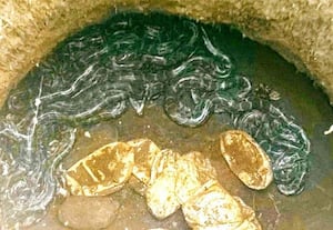  திருப்புத்துார் அருகே மலைப்பாம்பு குட்டிகள்