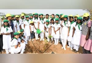  செழிக்கப்போகும் பசுமை! :100 ஏக்கரில், 15 ஆயிரம் மரக்கன்று நடும் பணி துவக்கம்:  ஒரத்துப்பாளையம் அணைப்பகுதியில் செழிக்கப்போகும் பசுமை!
