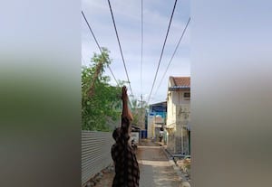  தாழ்வாக செல்லும் உயரழுத்த மின்கம்பியால் மக்கள் அச்சம்